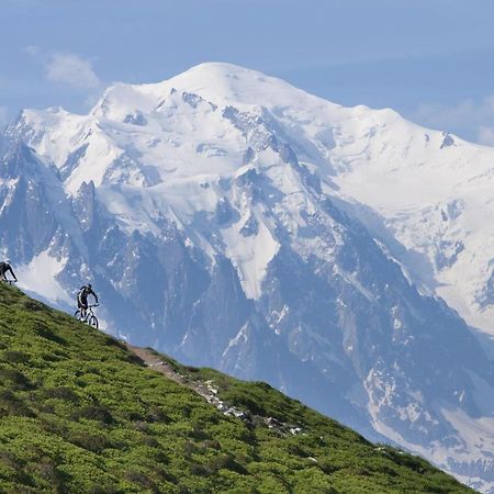 Coeur Des Alpes Lejlighed Combloux Eksteriør billede