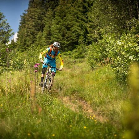 Coeur Des Alpes Lejlighed Combloux Eksteriør billede