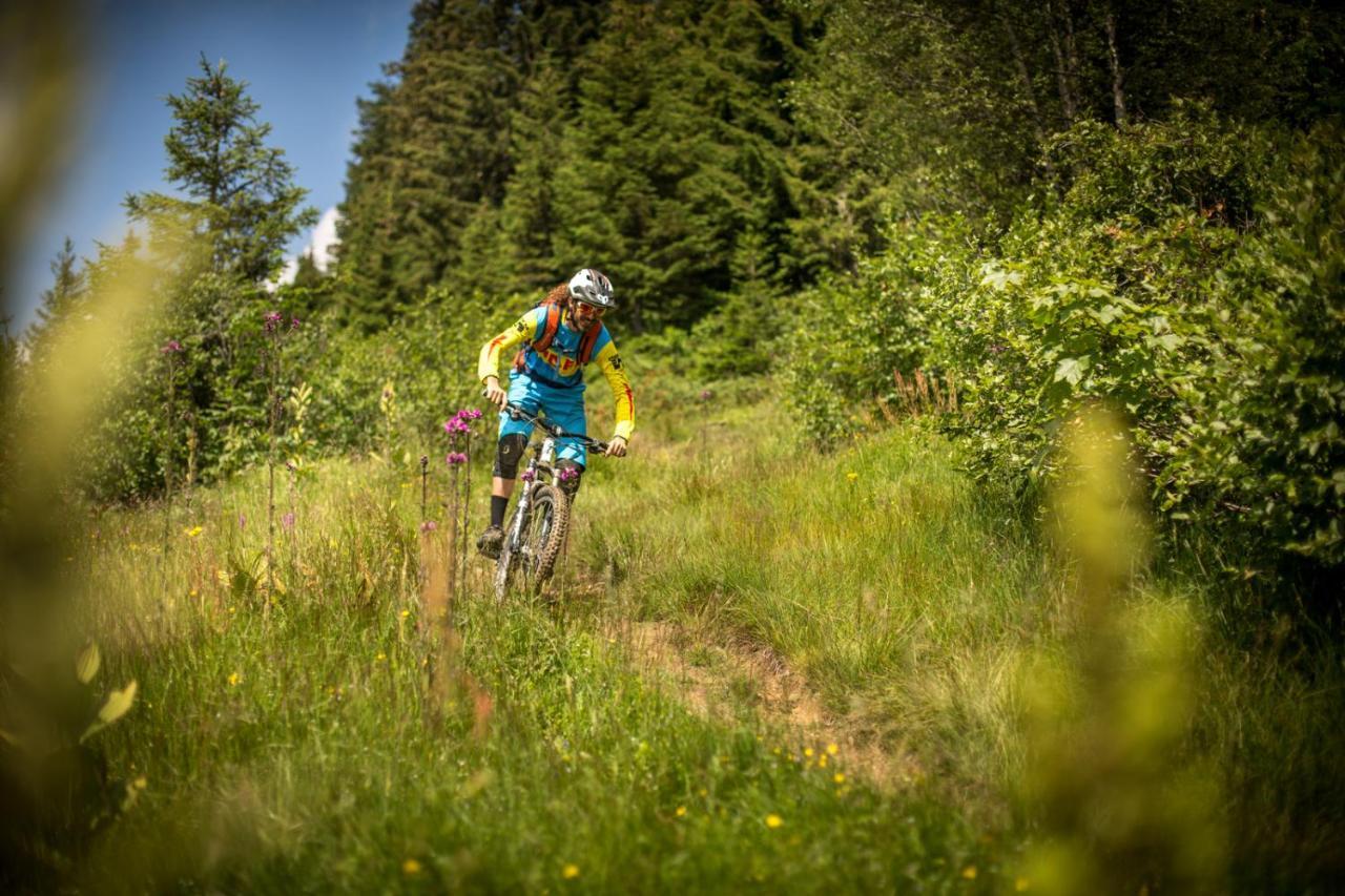 Coeur Des Alpes Lejlighed Combloux Eksteriør billede
